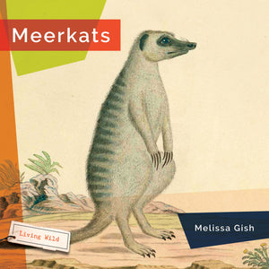 Living Wild (2024): Meerkats