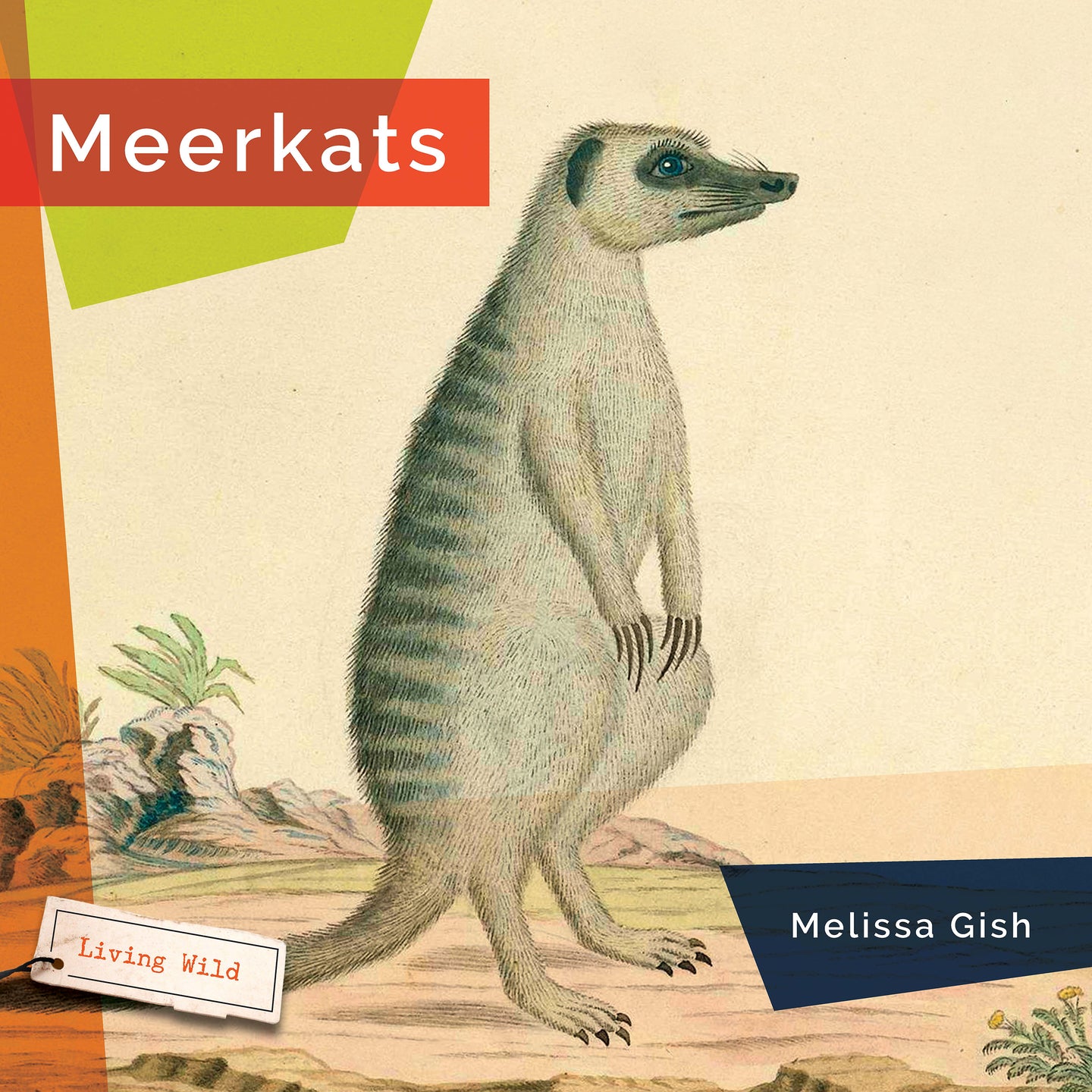 Living Wild (2024): Meerkats