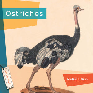 Living Wild (2024): Ostriches
