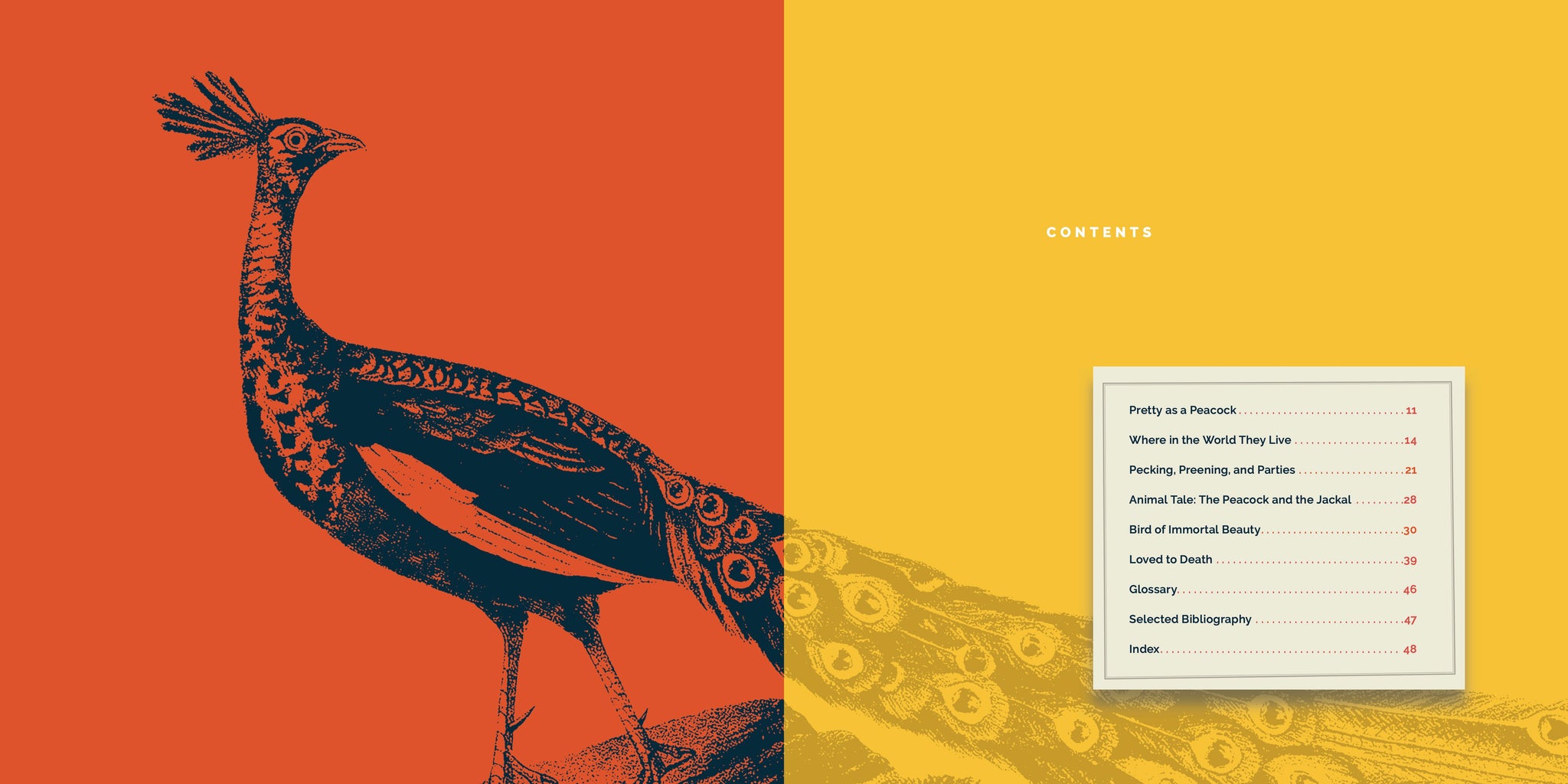 Peacocks – The Creative Company