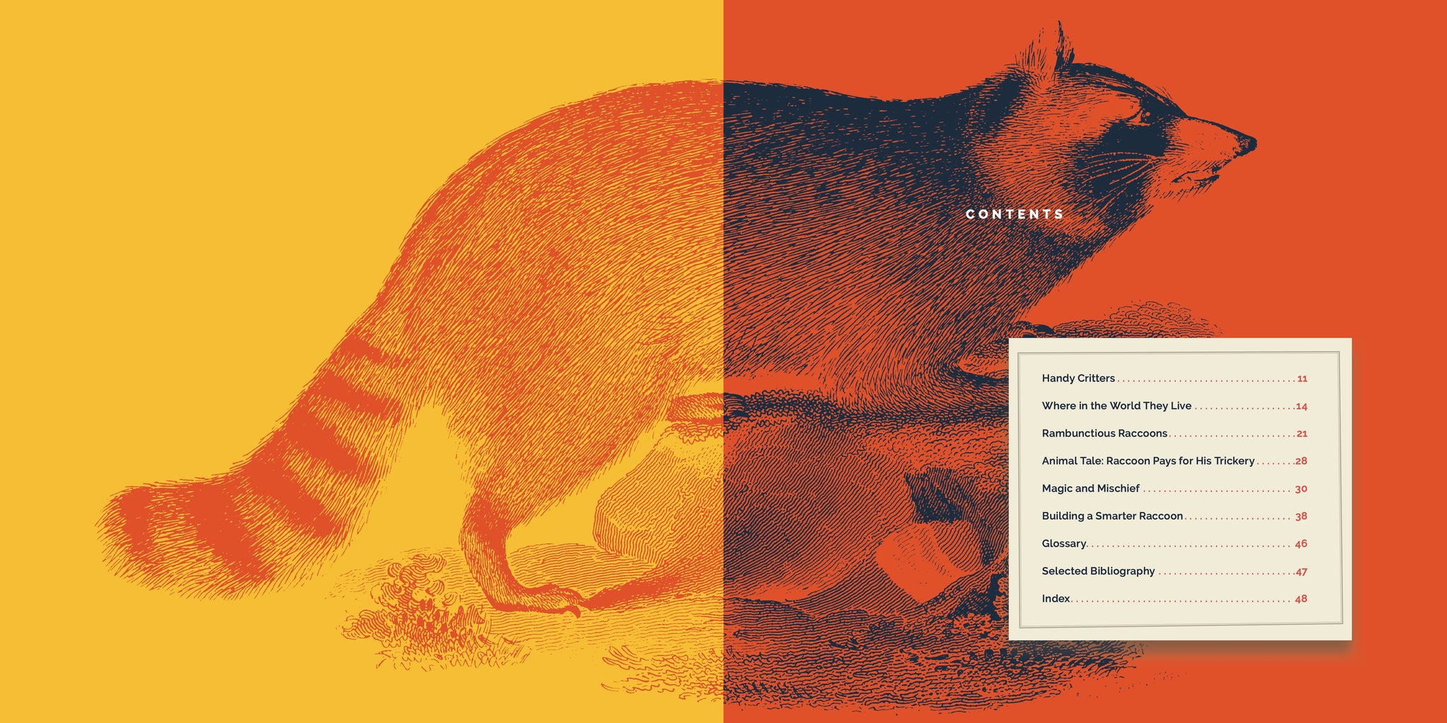 Raccoons – The Creative Company