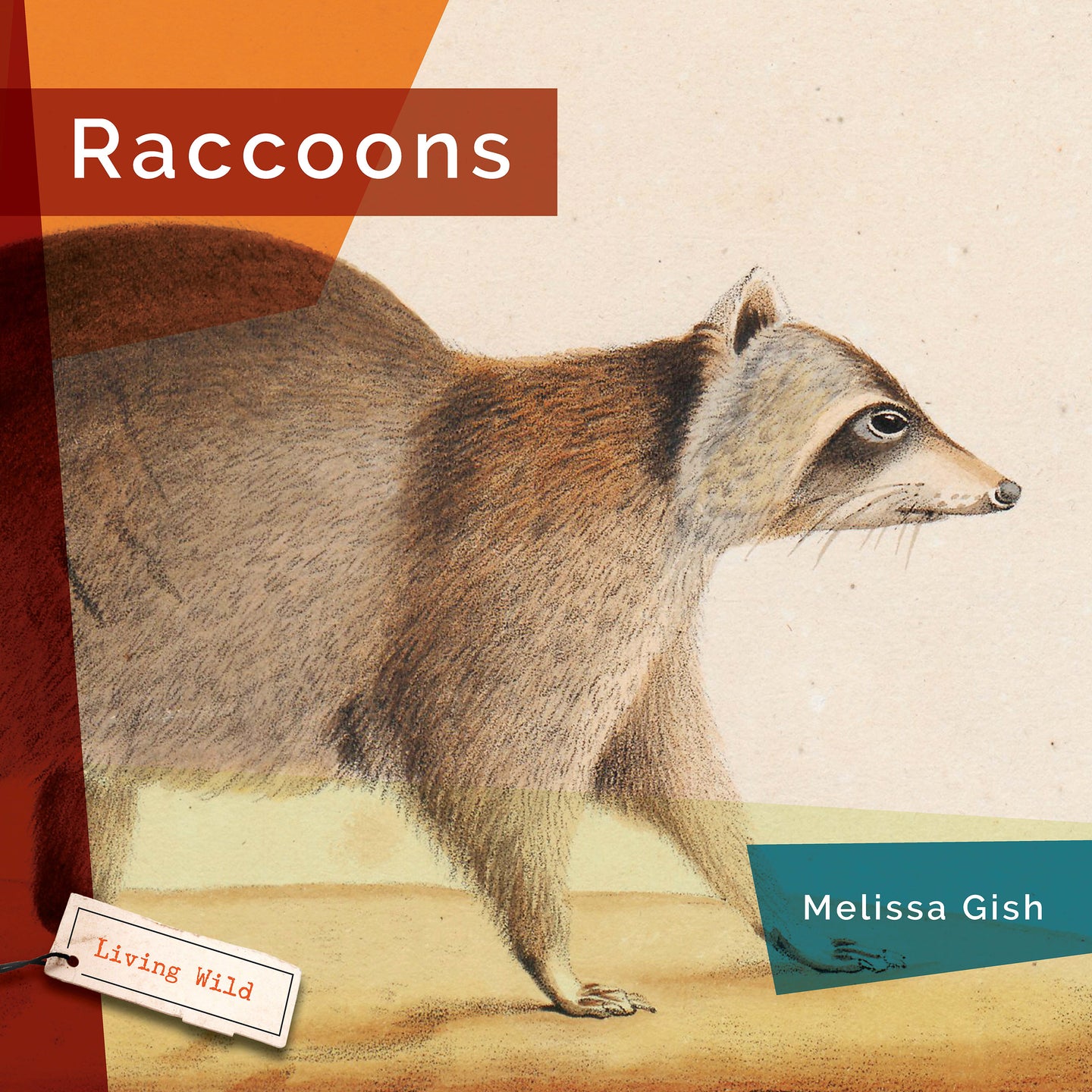 Living Wild (2024): Raccoons