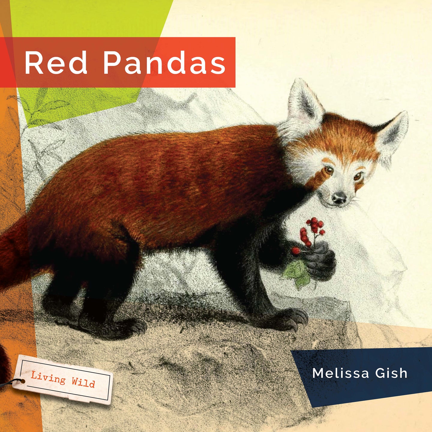 Living Wild (2024): Red Pandas