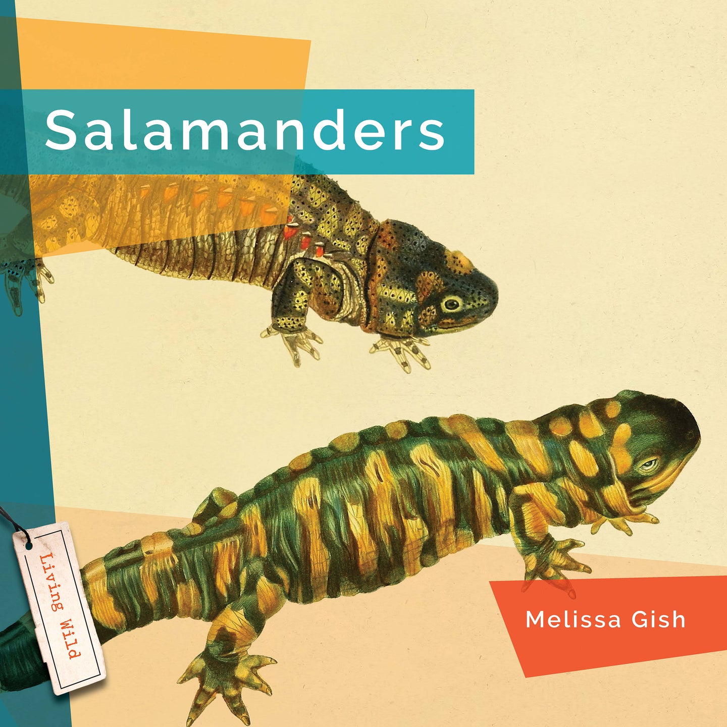 Living Wild (2024): Salamanders