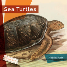 Laden Sie das Bild in den Galerie-Viewer, Living Wild (2024): Meeresschildkröten
