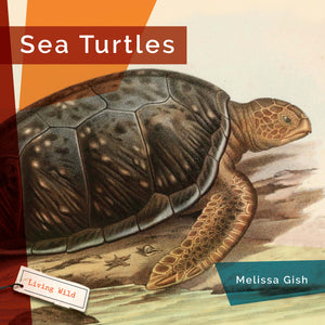 Living Wild (2024): Sea Turtles