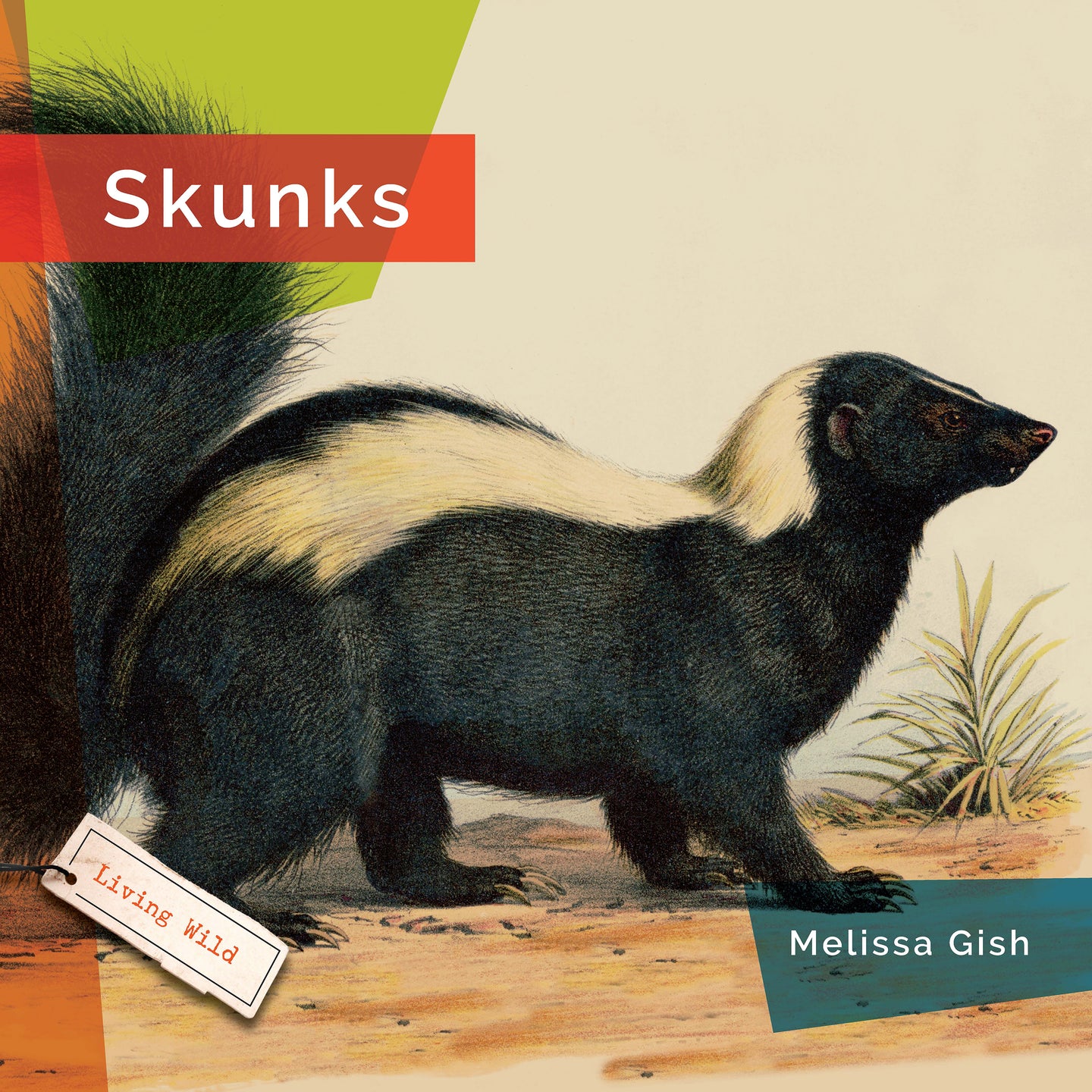 Living Wild (2024): Skunks