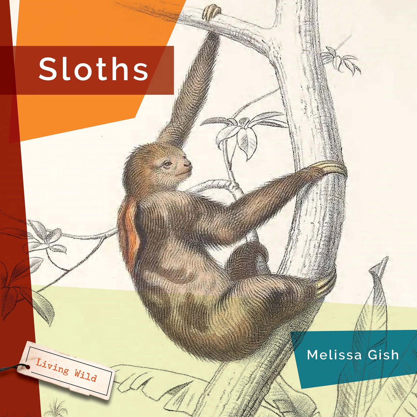 Living Wild (2024): Sloths