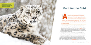 Living Wild (2024): Snow Leopards