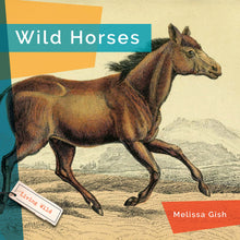 Laden Sie das Bild in den Galerie-Viewer, Living Wild (2024): Wilde Pferde

