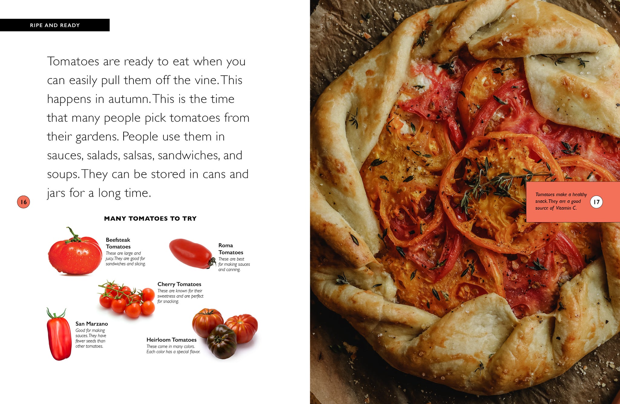 Tomatoes – The Creative Company