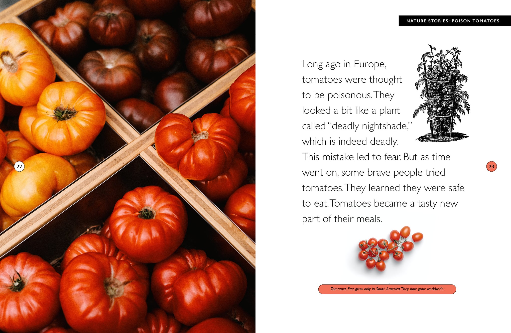 9781640268555_3_2048x.jpg?v=