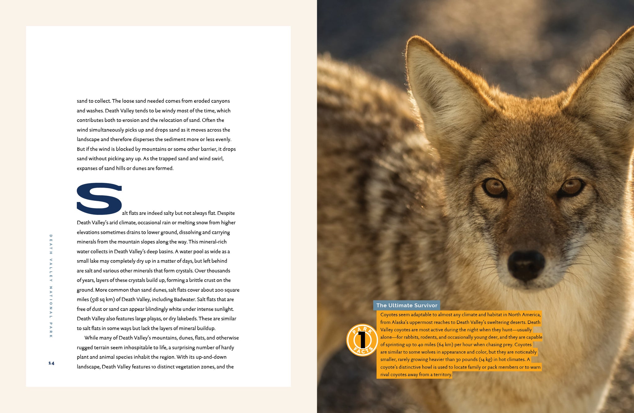 Death Valley National Park – The Creative Company