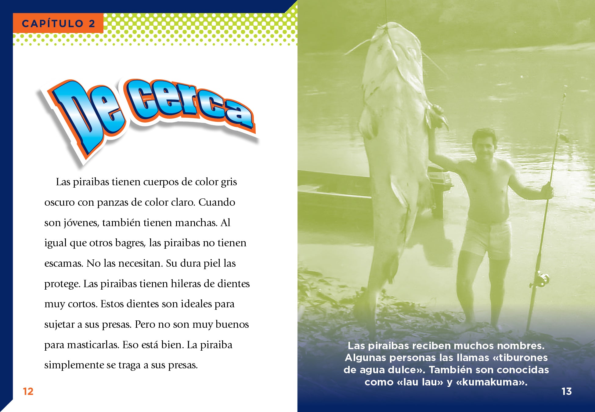 chasing monsters piraiba La Piraiba by Gail Terp