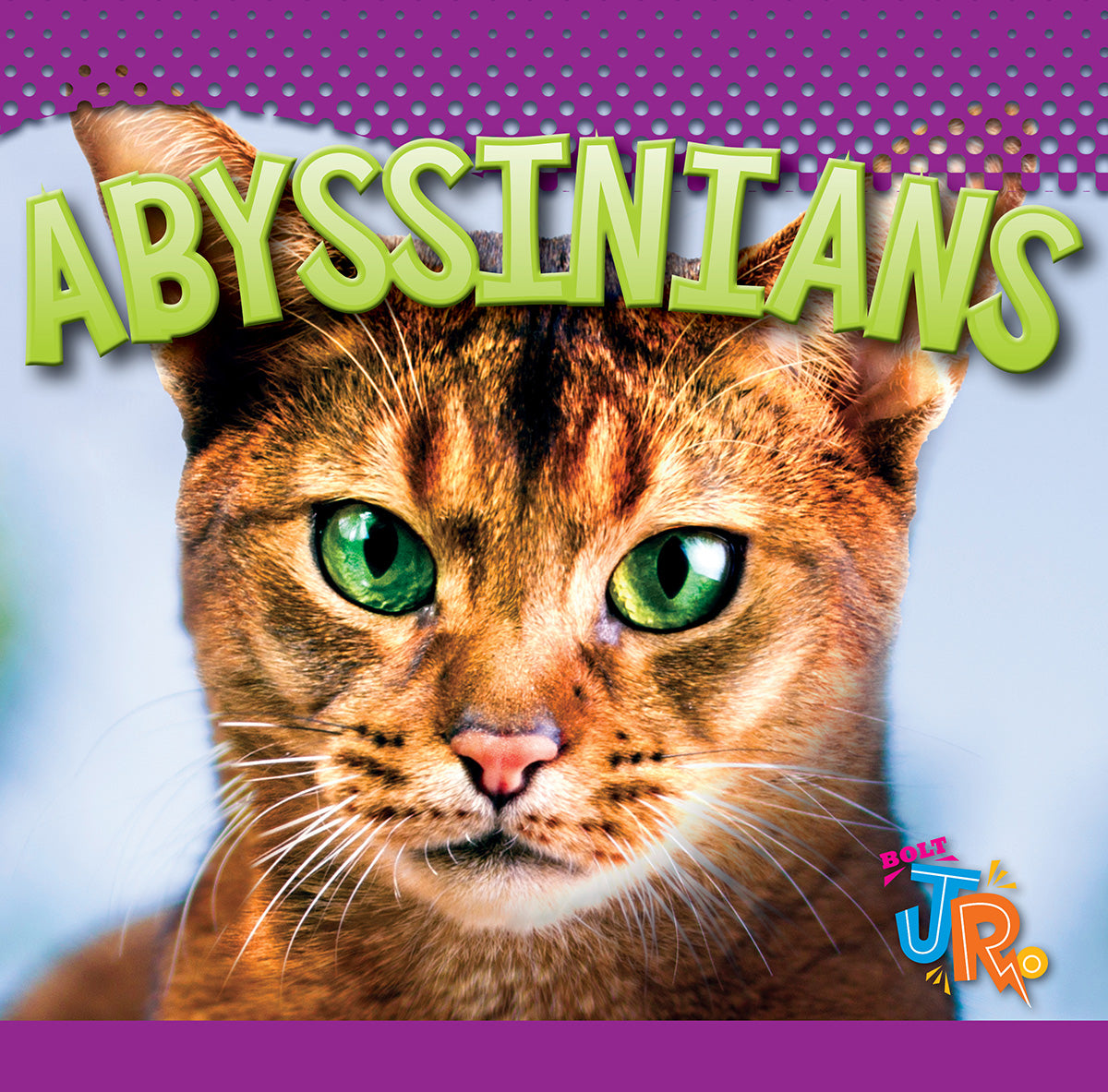Abyssnians Abyssinians – The Creative Company