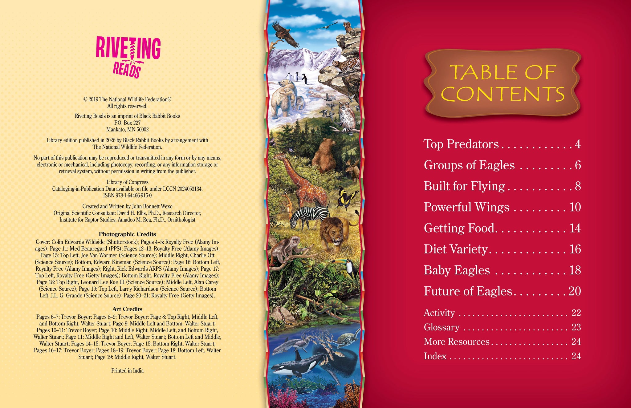 Eagles – The Creative Company
