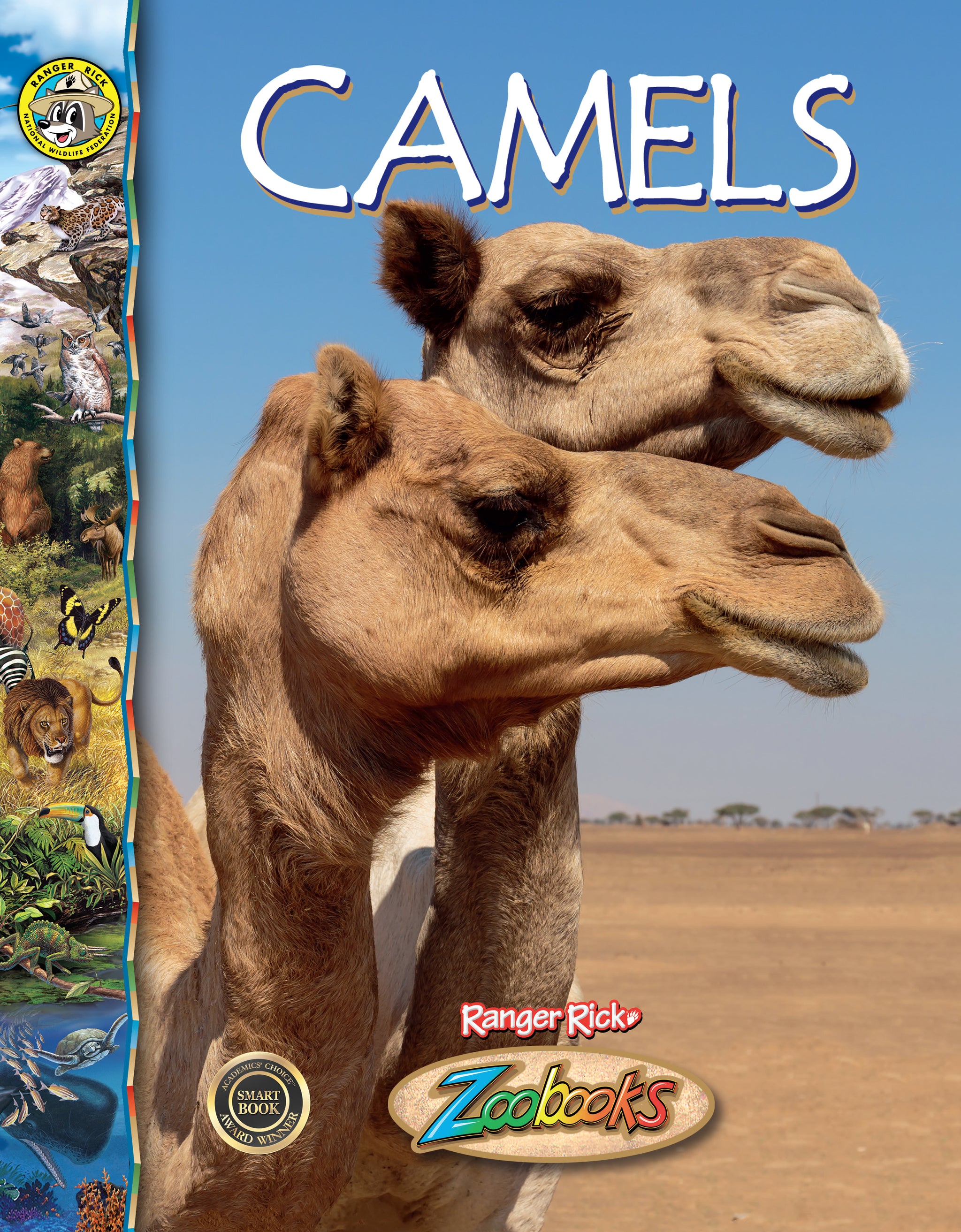 Camel CD まとめ 71Gao0Nf6WL._UF350,350_QL50_.jpg