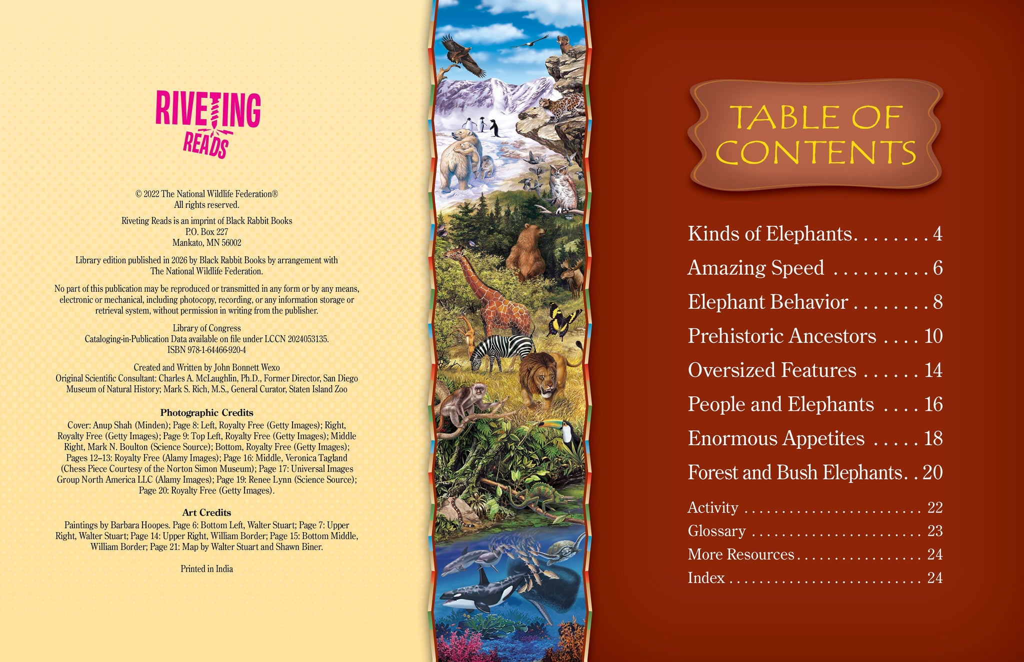 Elephants – The Creative Company