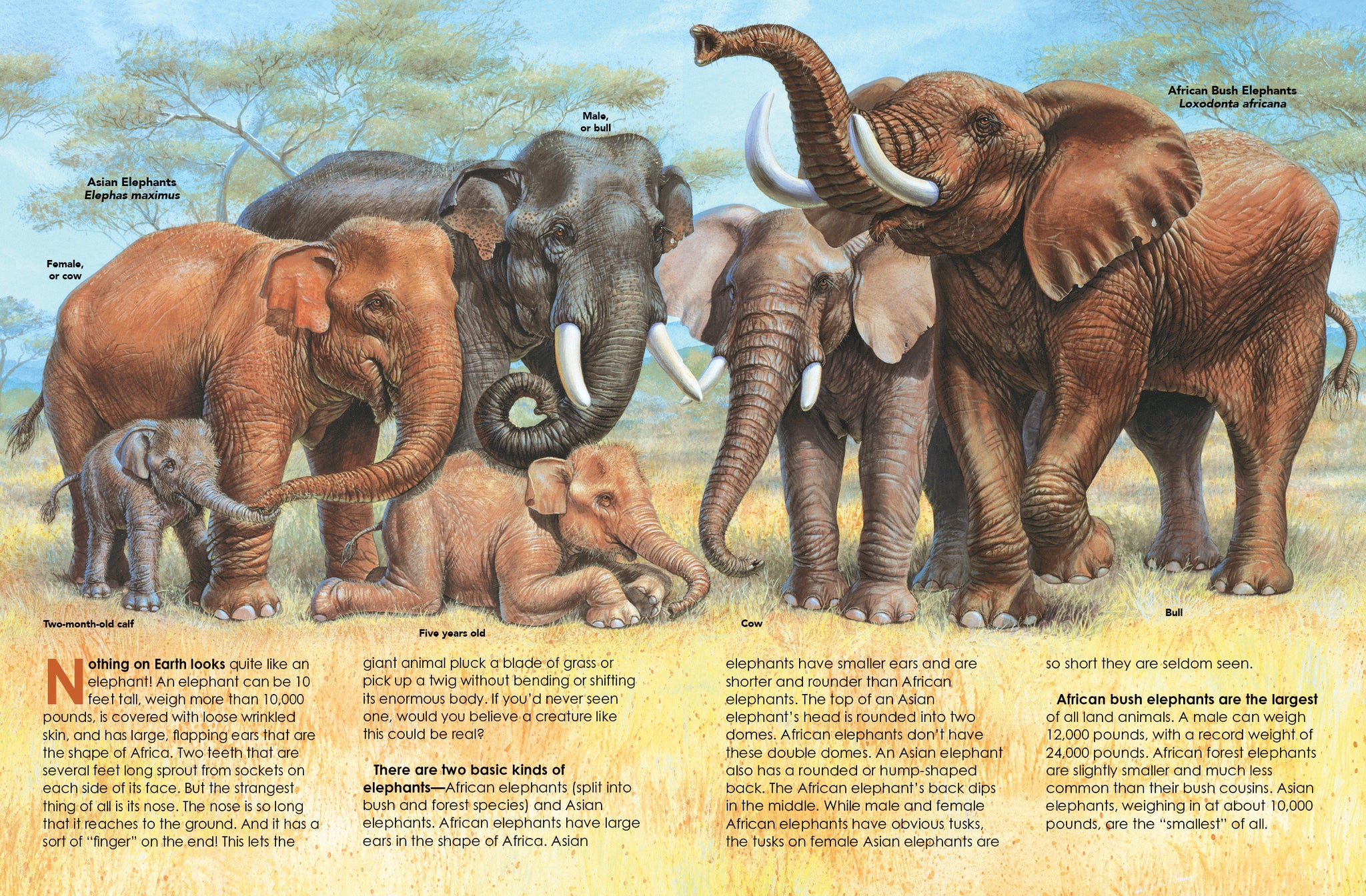 9781644669204_int_2048x.jpg?v=