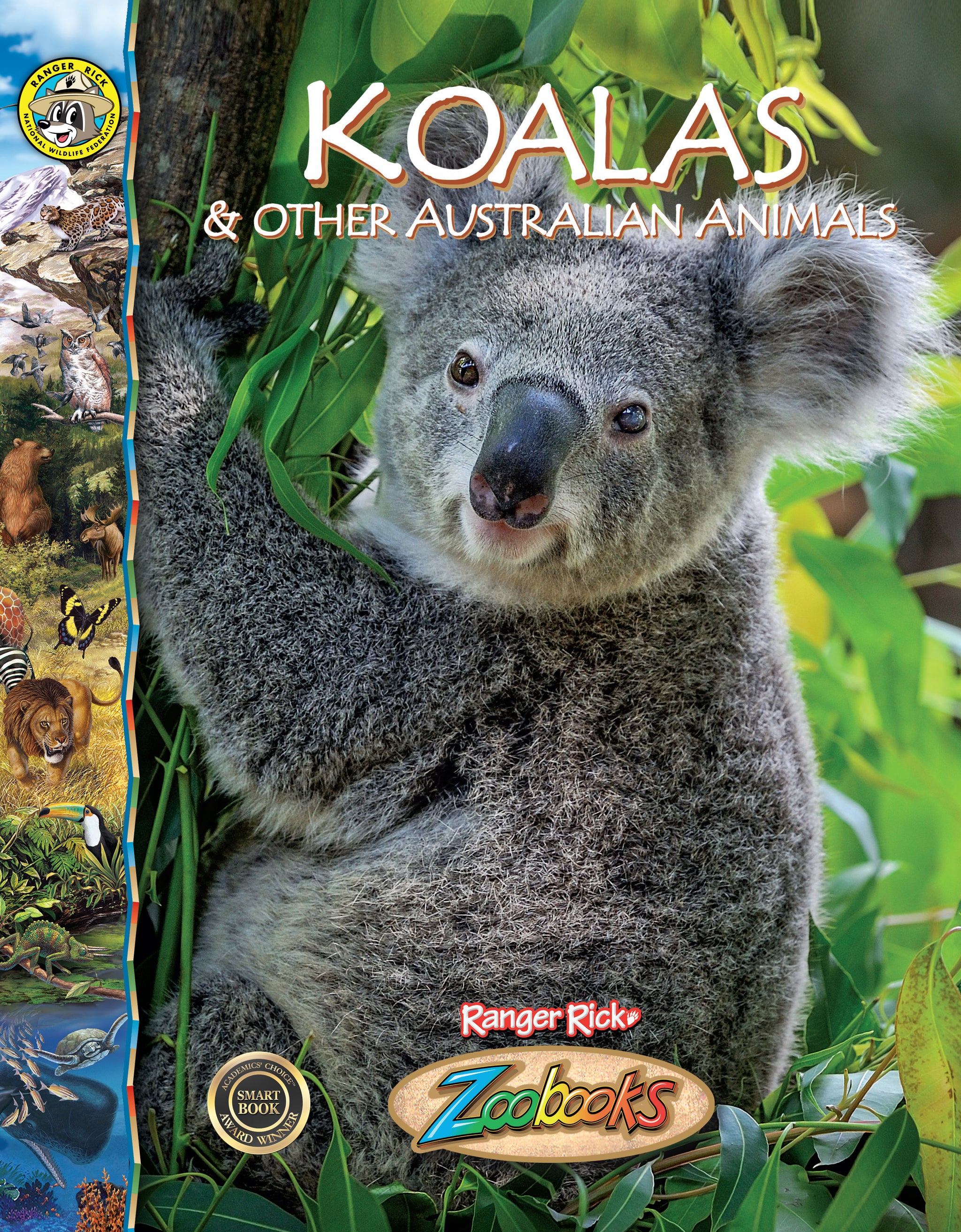 Koalas and Other Australian Animals – The Creative Company