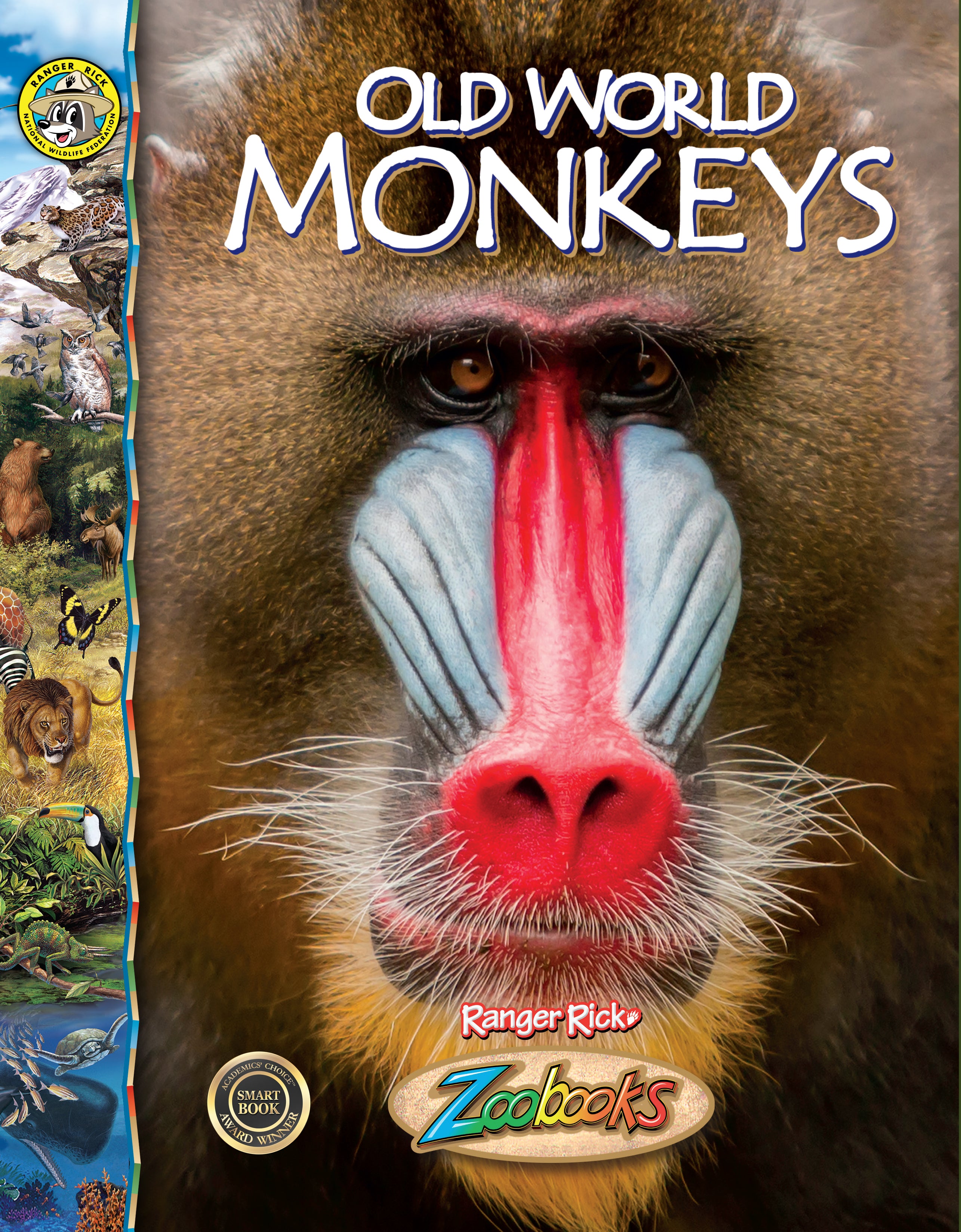 Old World Monkeys – The Creative Company