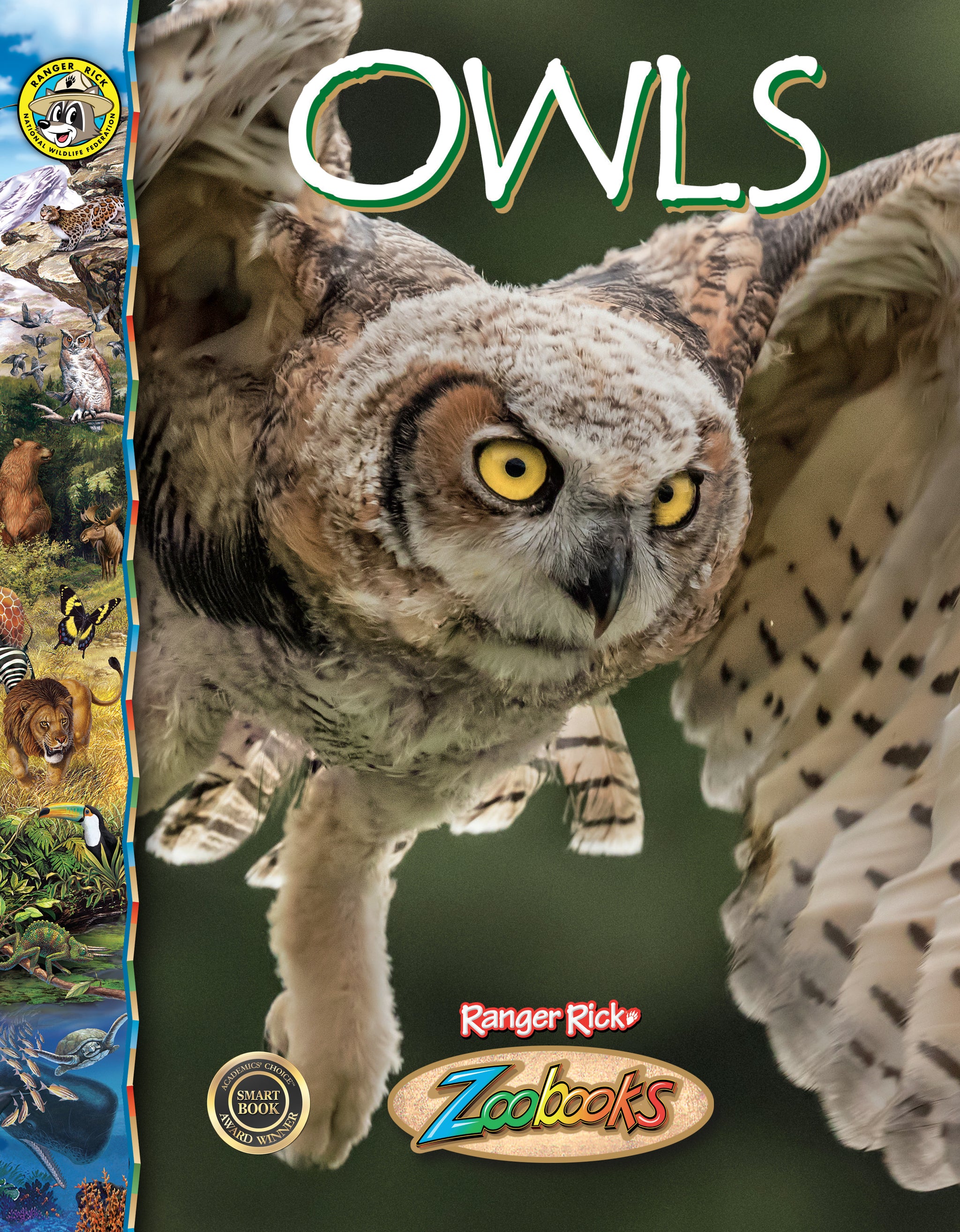 邦楽 OwL Owls – The Creative Company