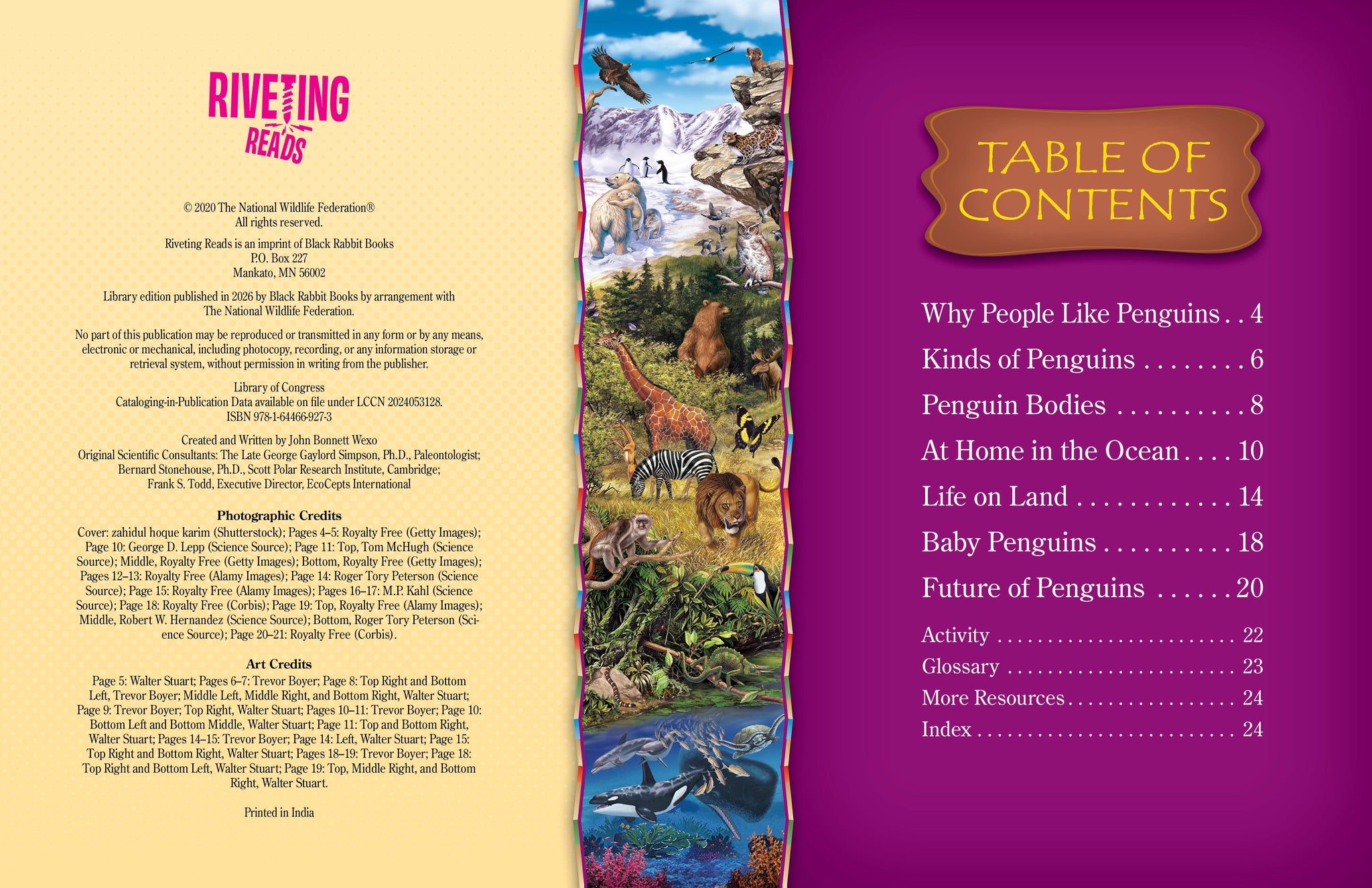 Penguins – The Creative Company