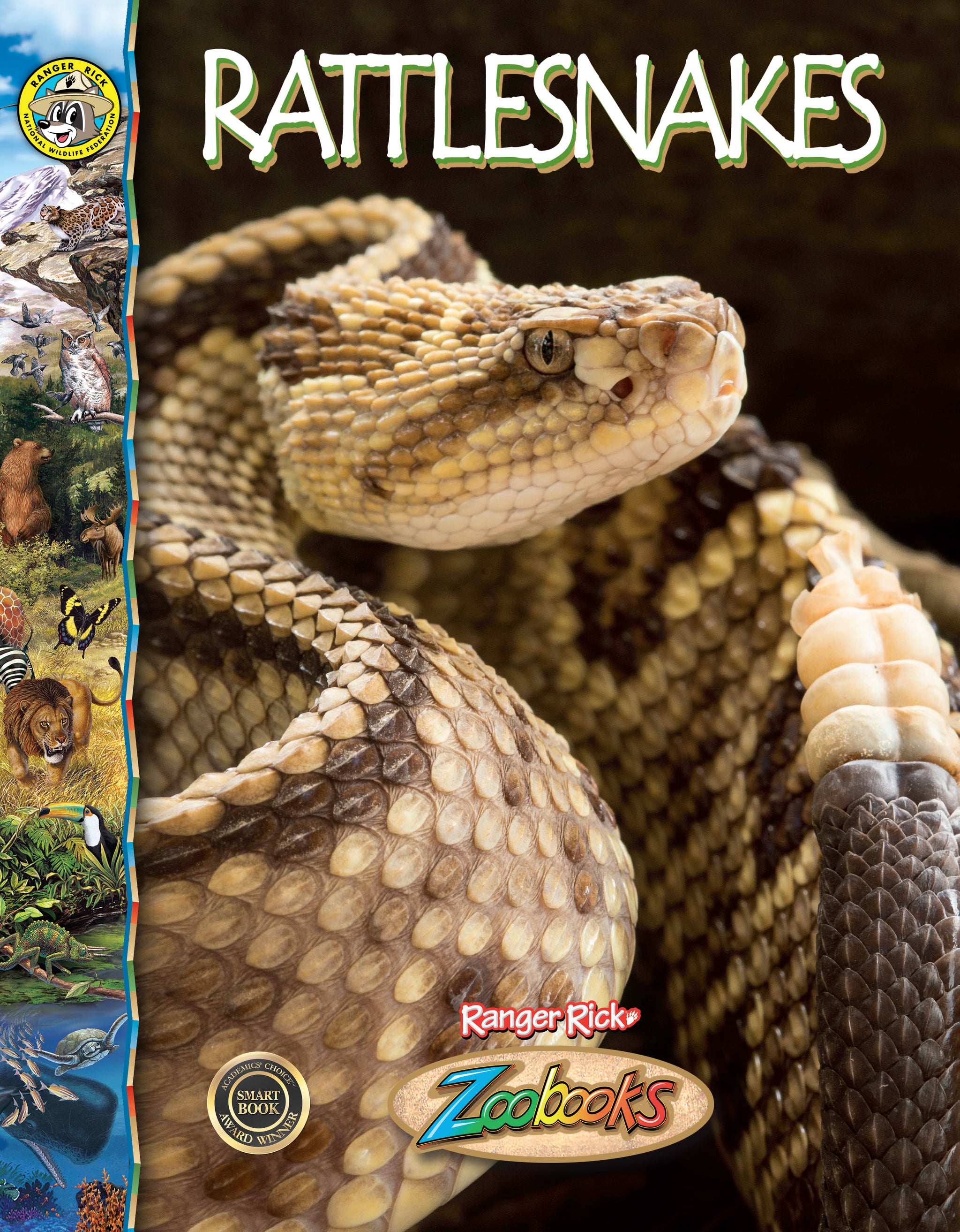 Rattlesnakes – The Creative Company
