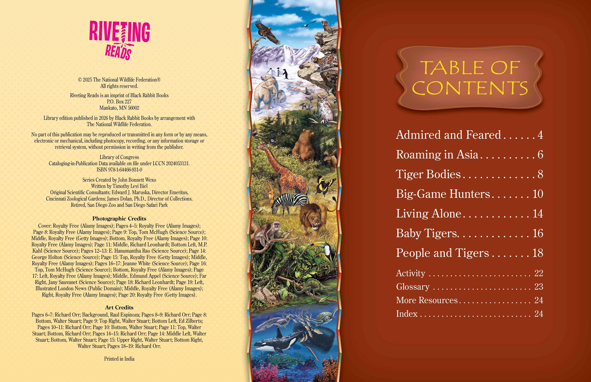 Tigers – The Creative Company