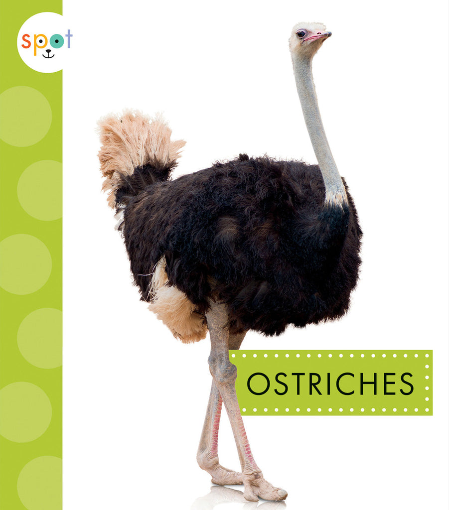 Ostriches