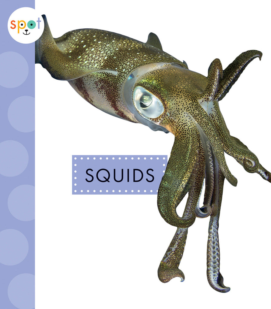 Squids