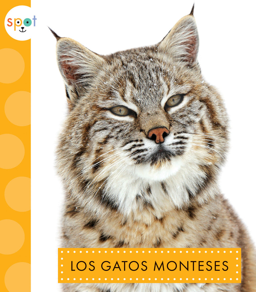 Los gatos monteses