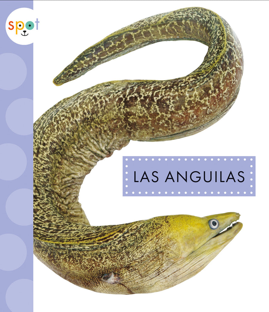 Las anguilas