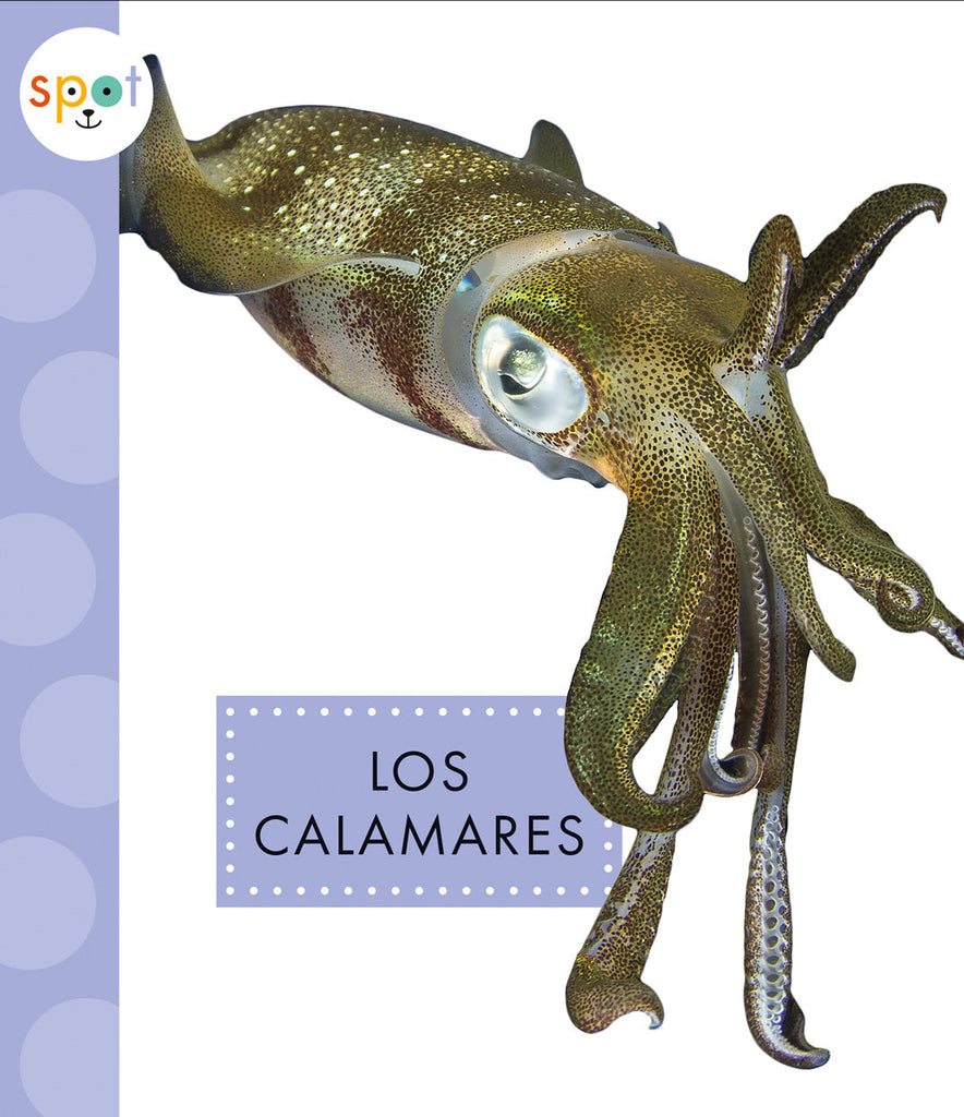 Los calamares