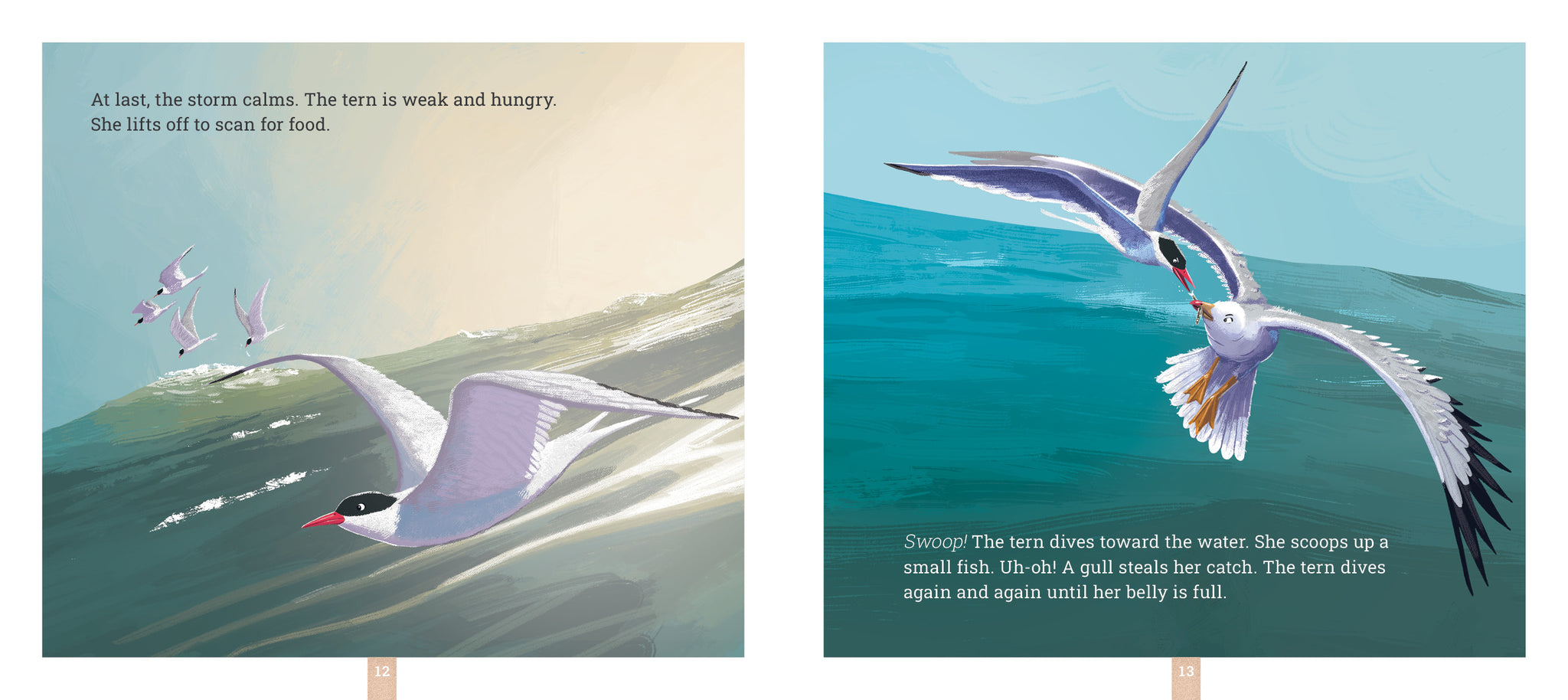Arctic Terns: A Migration Story – The Creative Company