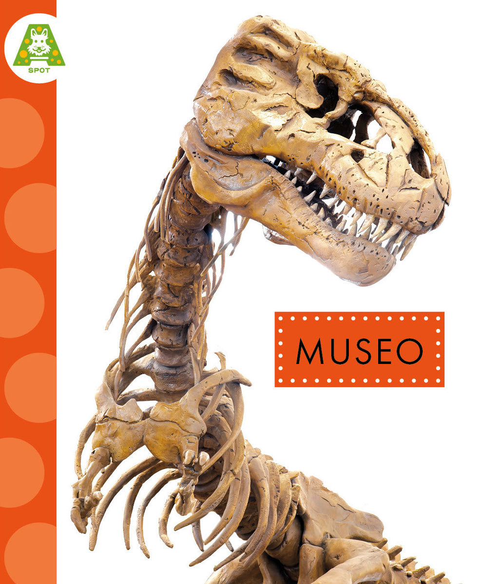 Museo The Creative Company Shop Museo the creative company shop