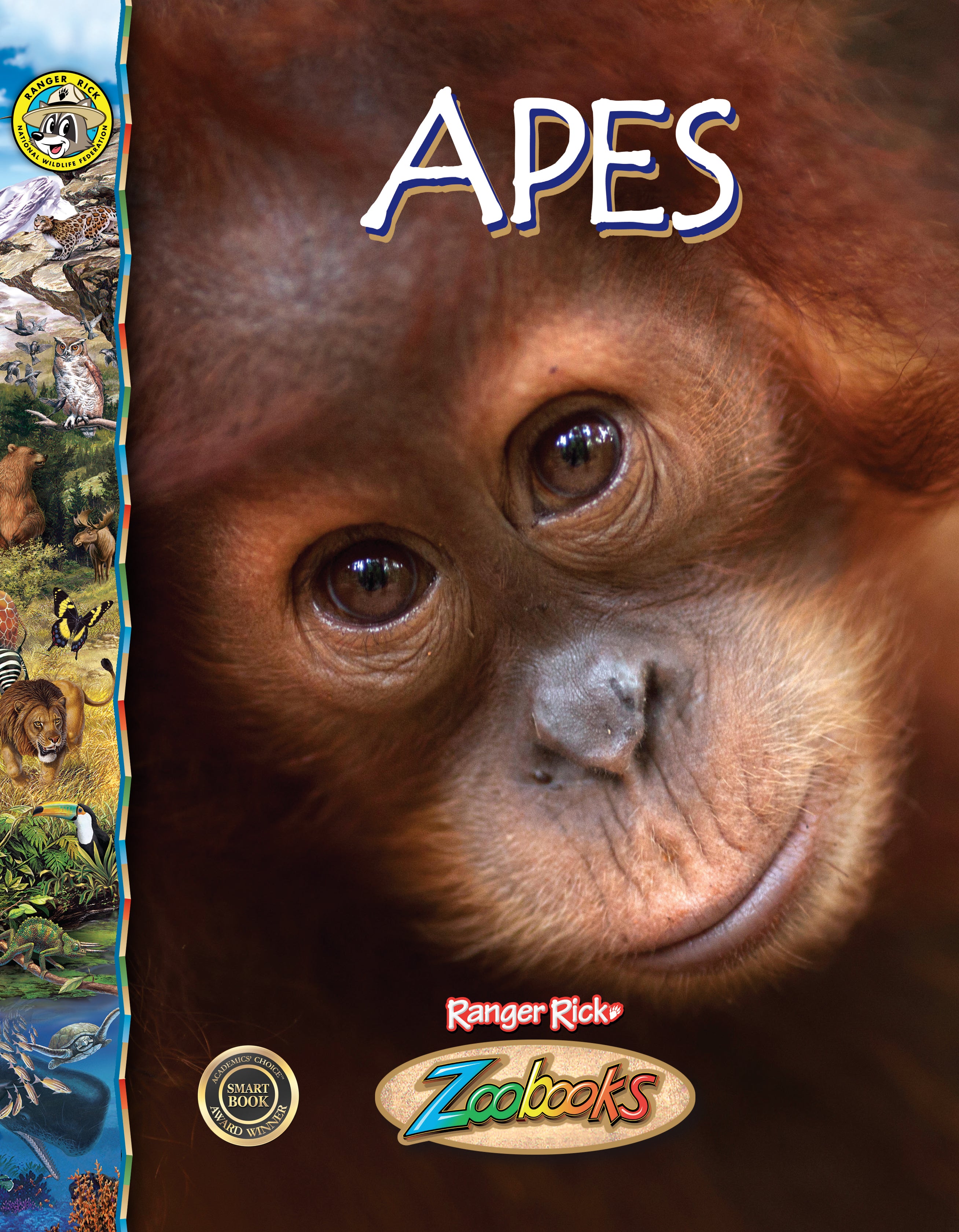 Apes – The Creative Company