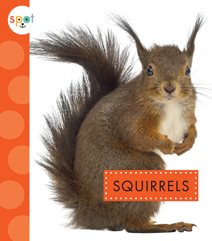 Squirrels