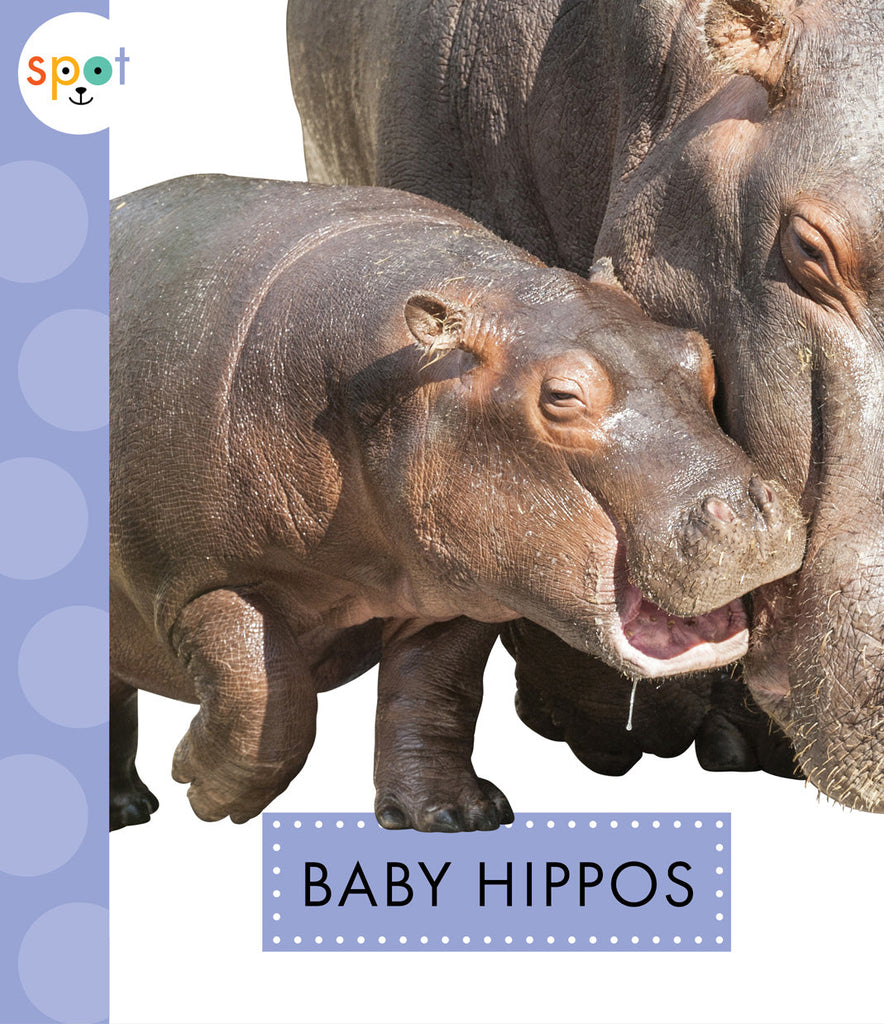 Baby Hippos