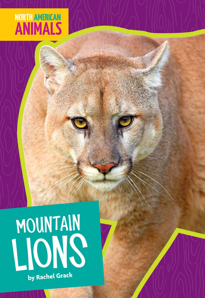 Mountain Lions