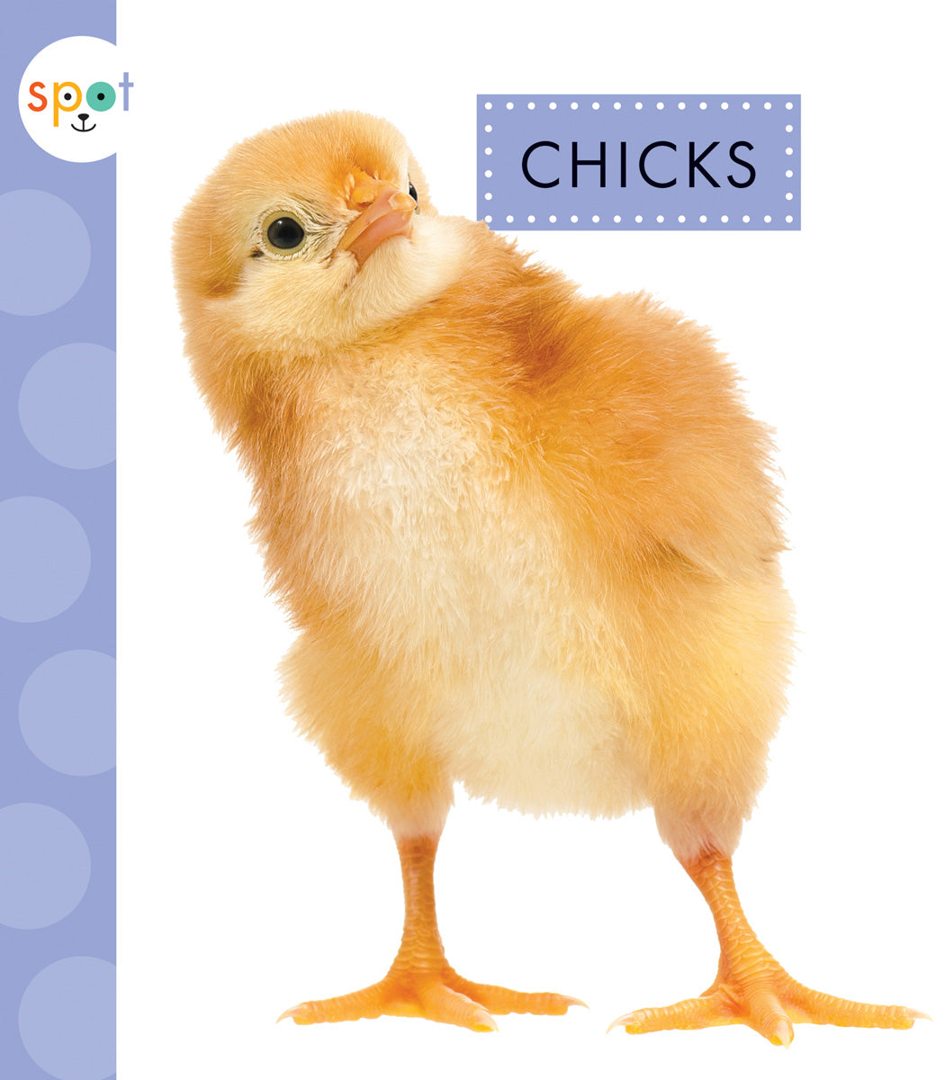 Chicks – The Creative Company