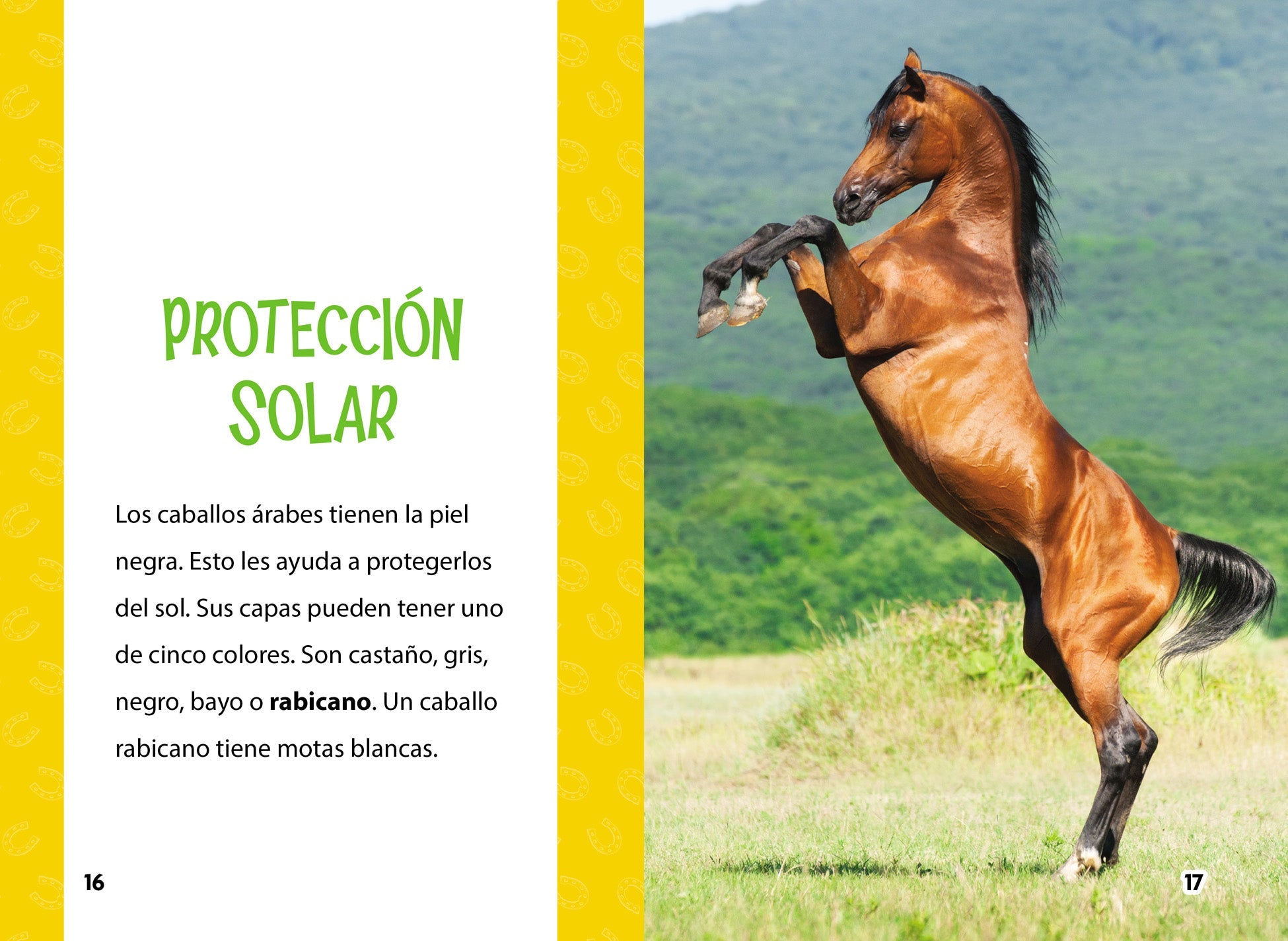 Espuelas De Caballo De Acero Inoxidable De Plata Con Bolivia