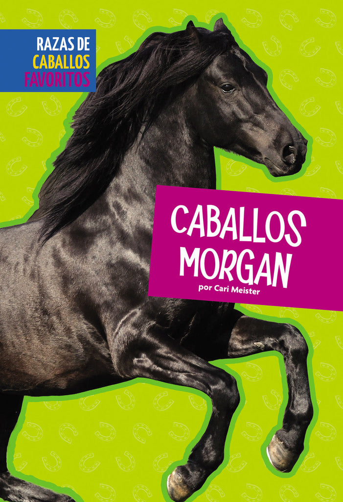 Caballos Morgan