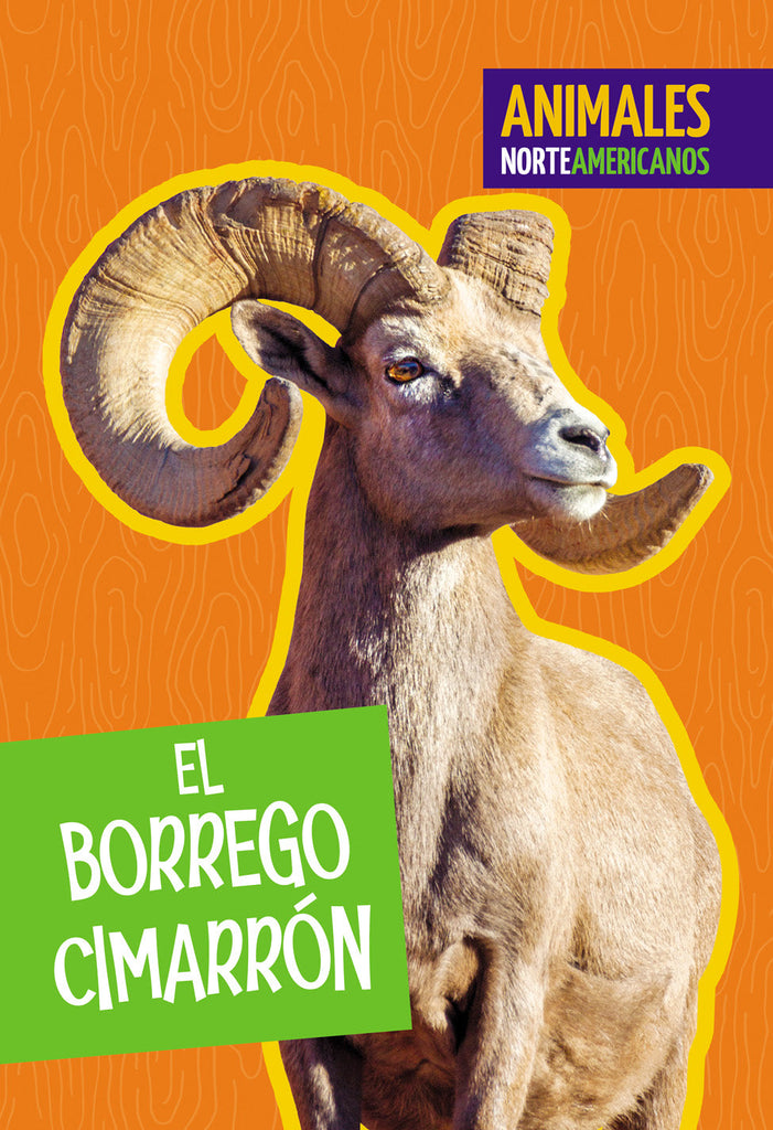 El borrego cimarrón