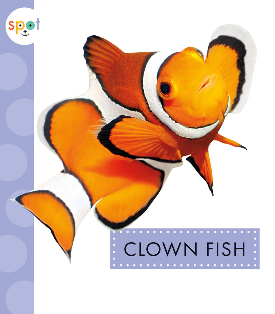 Clown Fish