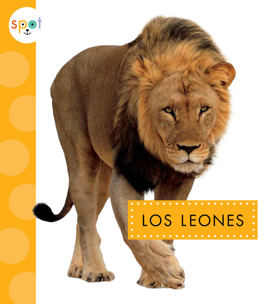 Los leones