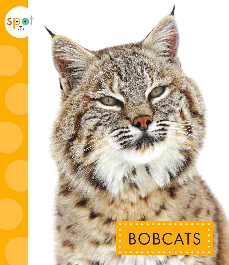 Bobcats