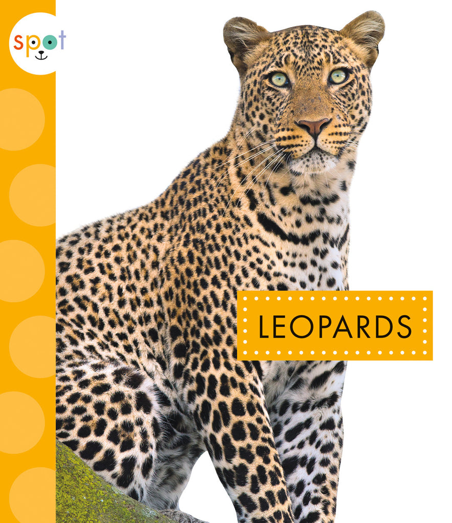 Leopards