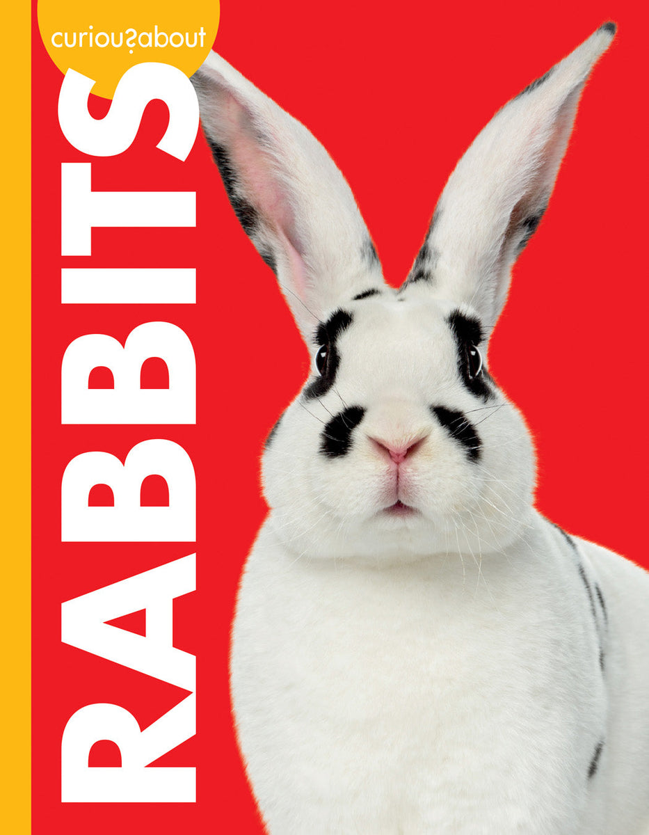 Curious about Rabbits – The Creative Company