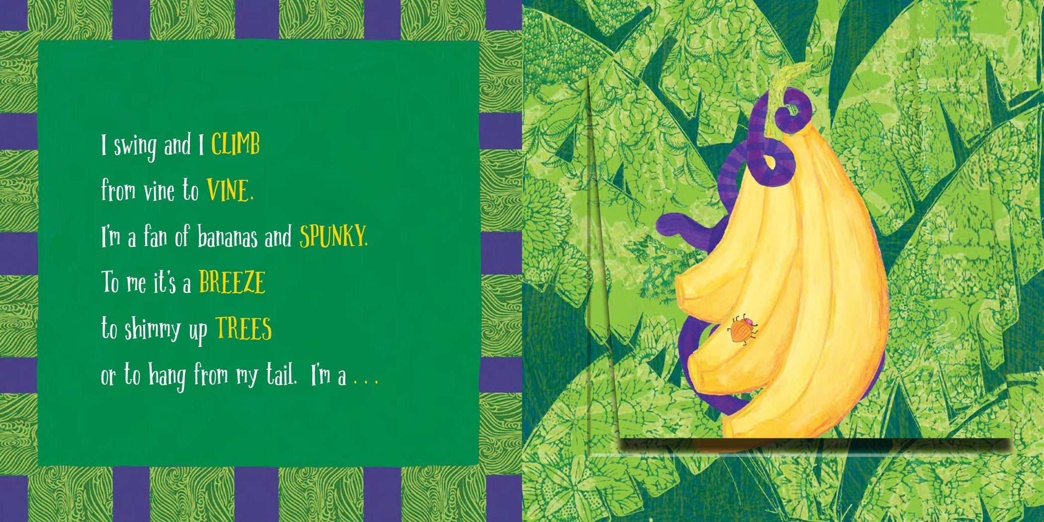 Riddle Diddle Rainforest – The Creative Company Shop